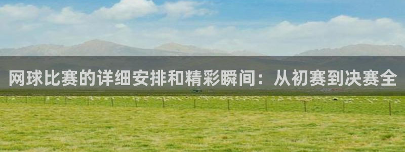 网球比赛的详细安排和精彩瞬间：从初赛到决赛全