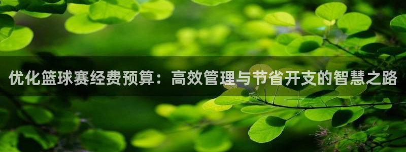 优化篮球赛经费预算：高效管理与节省开支的智慧之路