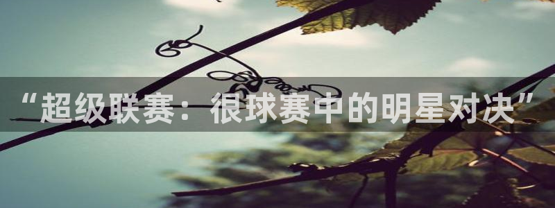 VSport胜利因您更精彩：“超级联赛：很球赛中的明星对决”