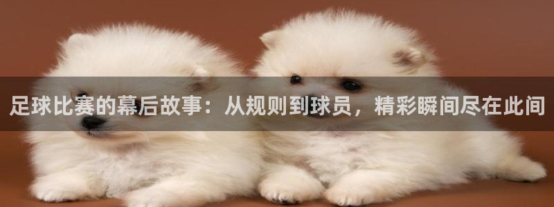 VSports官方网站：足球比赛的幕