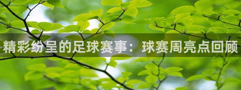VSport胜利因您而精彩翻译：精彩纷呈的足球赛事：球赛周亮