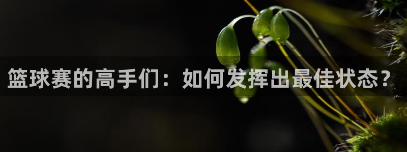 VSport胜利因您更精彩阿根廷国家队：篮球赛的高手们：如何