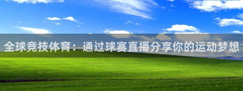  vsport体育官网阿根廷：全球竞技体育：通过球赛直播分享你