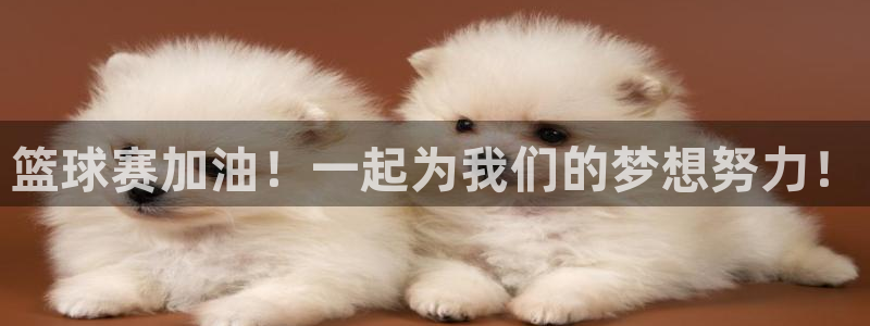 VSport胜利因您而精彩翻译：篮球赛加油！一起为我们的梦想