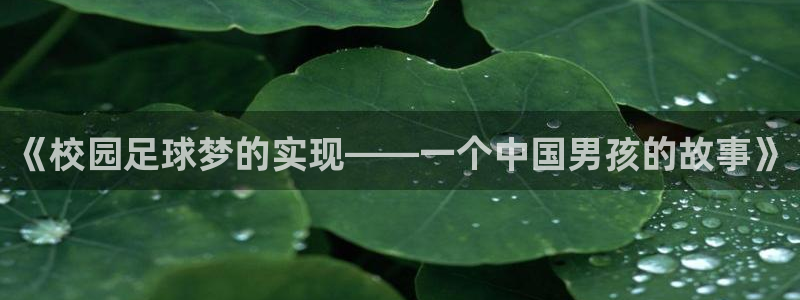 vsport体育官网入口：《校园足球梦的实现——一个中国男孩