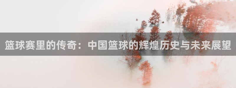  vsport体育官网阿根廷：篮球赛里的传奇：中国篮球的辉煌历