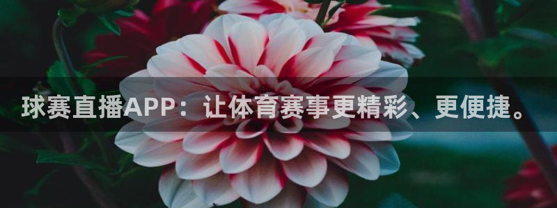 vsport体育在线：球赛直播APP：让体育赛事更精彩、更便