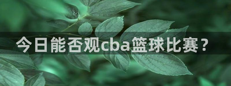  vsports：今日能否观cba篮球比赛？